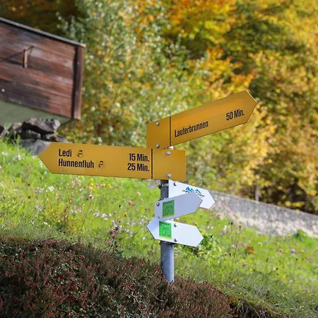 Helene Diana By Interhome Apartamento Wengen