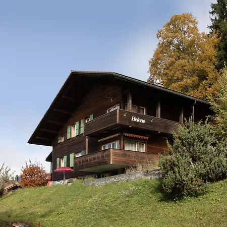 Helene Diana By Interhome Wengen