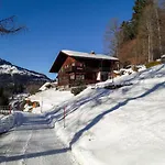 Helene Diana By Interhome Appartamento Wengen