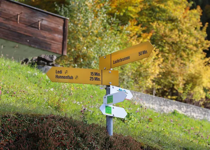 Helene Diana By Interhome Lejlighed Wengen